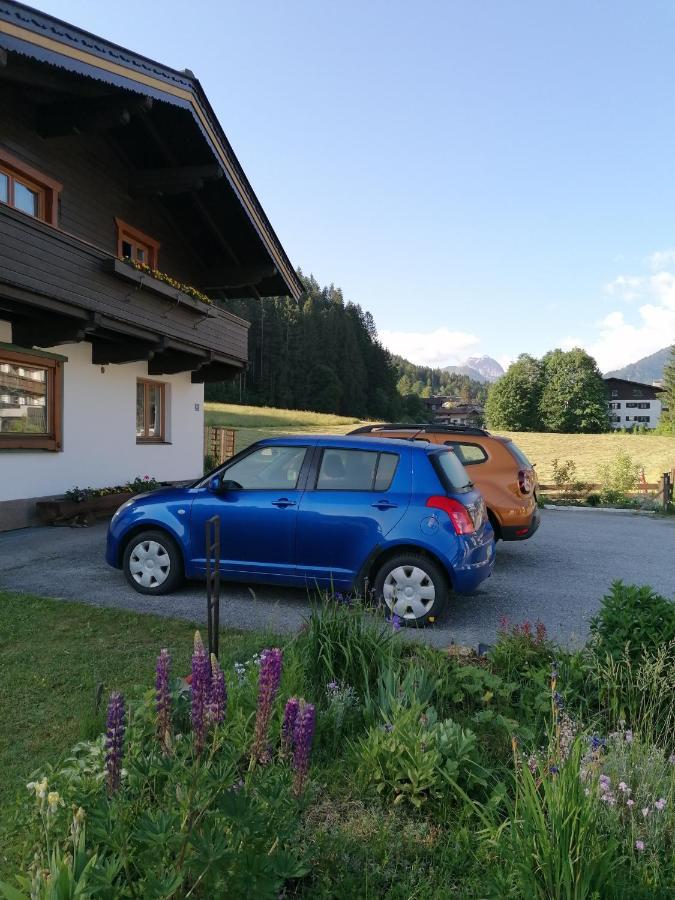 شقة Haus Spertental كيرشبرغ ان تيرول المظهر الخارجي الصورة
