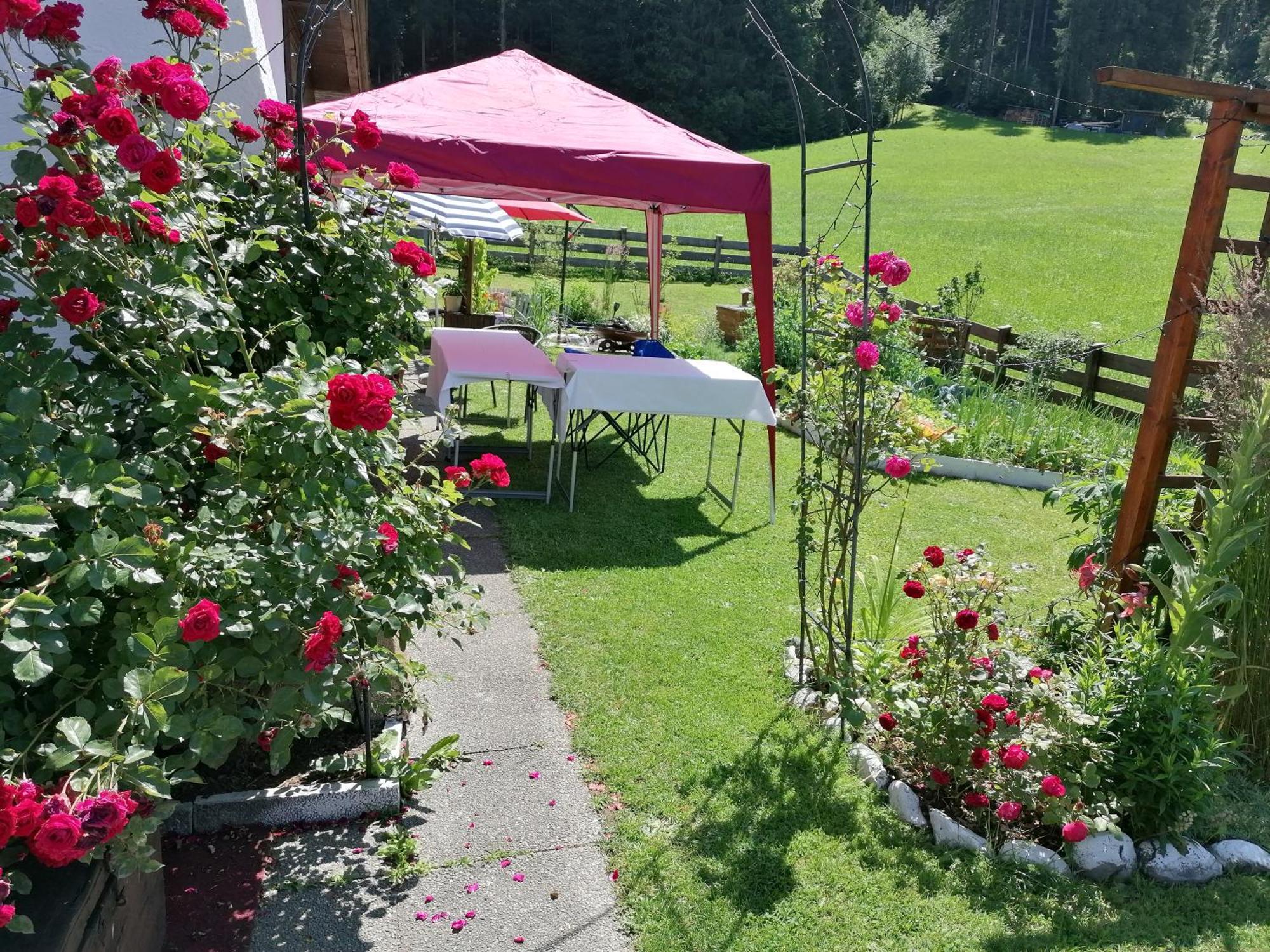 شقة Haus Spertental كيرشبرغ ان تيرول المظهر الخارجي الصورة